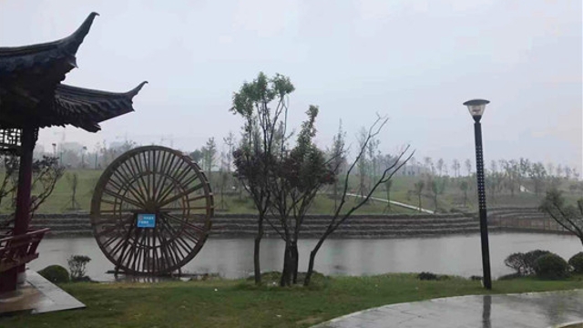 周口：春節(jié)，來這些游園嗨皮吧