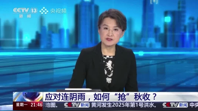 【主流媒體看周口】面對連陰雨 如何“搶”秋收？